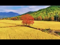 -塔川景区