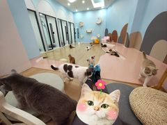 -1013 PET SHOP 宠物商店(近铁城市广场店)