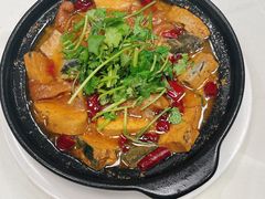 -丁老爷子苏香圆
