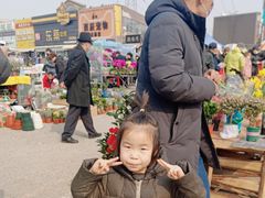 -中环花鸟鱼虫市场
