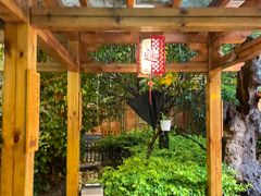-山大王菌莊