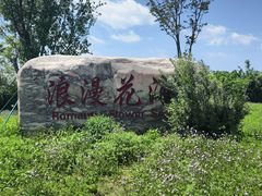 -泗洪洪泽湖湿地景区