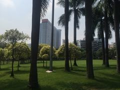 -东风公园