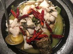 -大鸽饭(体育西路店)