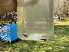 -蜀冈西峰生态公园