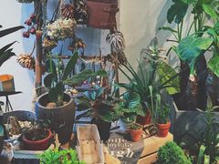 -植物学家的女儿(北马道巷店)