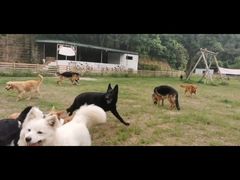 -趣多多宠物公园·宠物训犬学校·宠物寄养