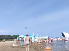 -碧海金沙