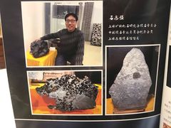 -志强陨石馆(双季花艺店)