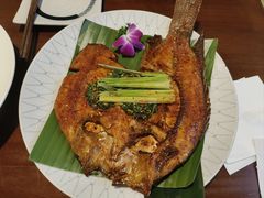 香茅草烤罗非鱼-紫滇源云南生态菜(丹凤街店)
