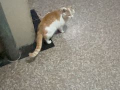 -粒上皇(淮河路步行街店)