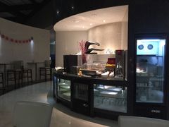 -虹桥机场国航贵宾室v8