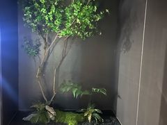 -唐宫足道·SPA·影院会馆(木渎店)