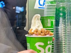 -Salud撒露欧洲冻酸奶(蓝色港湾店)