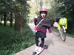 -崇明东平国家森林公园烧烤房车露营地