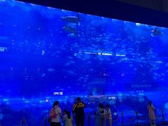 -成都浩海立方海洋公园