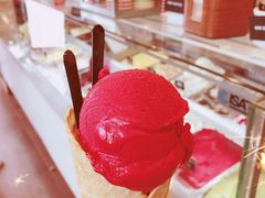 -Patagonia Chocolates(皇后镇店)