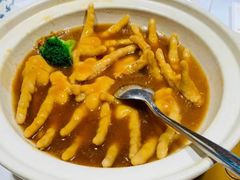 -云境生态园(高新旗舰店)