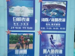 -秦皇岛乐岛海洋王国