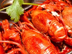 -0574龙虾的故事(东裕店)