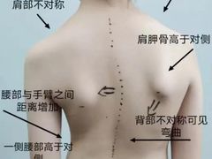 -体博士·疼痛调理·体态矫正·运动康复中心(大望路华贸店)