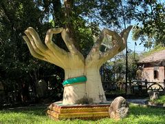 -瑞丽独树成林风景区