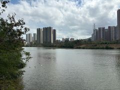 -大亚湾红树林城市湿地公园