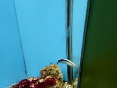 -北戴河圣蓝海洋公园