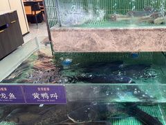 -鱼你相聚·河鲜馆(袁家岭店)