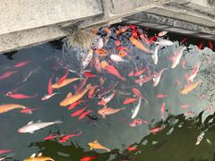-苏州吴宫泛太平洋酒店