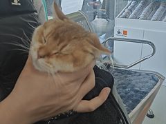 -美美宠物诊疗中心·异宠·骨科(滨江东信分院)