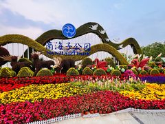 -南海子公园