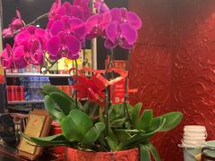 -峨嵋酒家(牡丹园店)