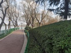 -金银湖国家城市湿地公园