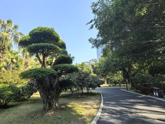 -南宁南湖公园