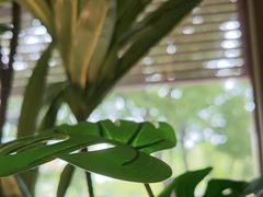 -牛村来人潮汕牛肉火锅(西单店)