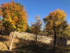 -北京西山国家森林公园