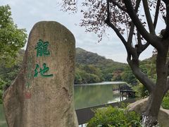 -白马涧龙池景区