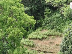 -金鸡山公园