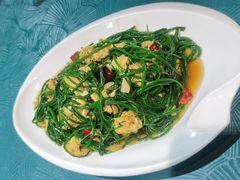 -鹏馨羊羔肉(新建街店)