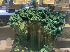 -河南自然博物馆
