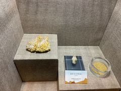-烟台自然博物馆