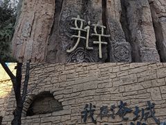 -淹城春秋乐园