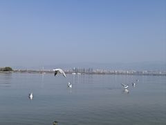 -西昌邛海湿地