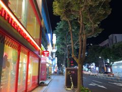 -宝健路步行街(Pedestrian Shopping Street)