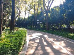 -荔香公园