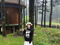 -洛阳白云山景区