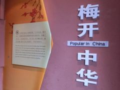 -梅园