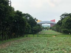 -皇庭广场(福华三路店)