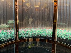 -西安皇冠假日酒店·B&G51餐厅